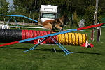 Agility