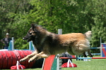 Agility