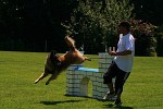 Agility