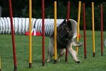 Agility