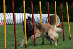 Agility