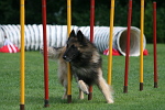 Agility