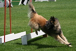 Agility